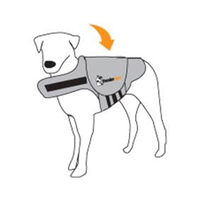 Thundershirt Aandoen 1