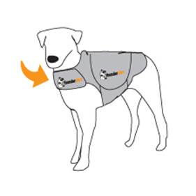 Thundershirt Aandoen 1
